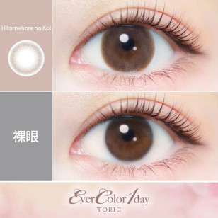 Ever Color TORIC散光 1Day – Hitomebore no Koi 日拋 每盒20片